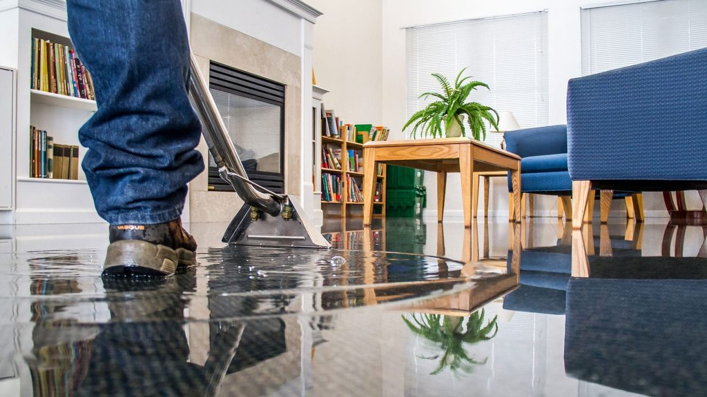 Professional Cleaning Services